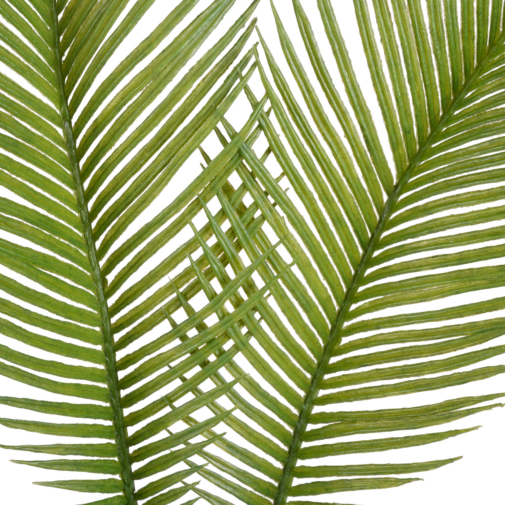 Green Sago Palm Stem by Ashland®